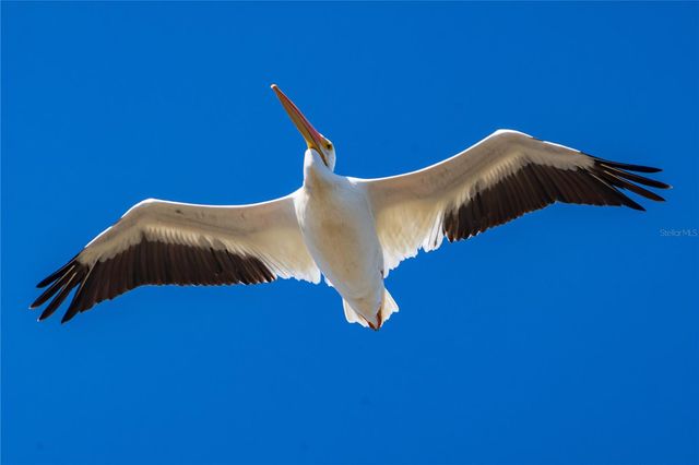 5 AYE COURT, Placida, FL 33946