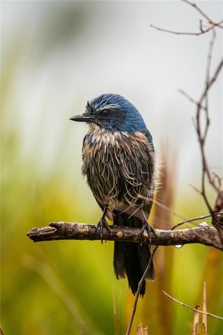 5 AYE COURT, Placida, FL 33946