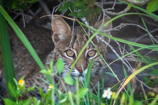 5 AYE COURT, Placida, FL 33946