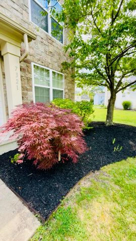 7321 Clover Park Way, Dublin, OH 43016