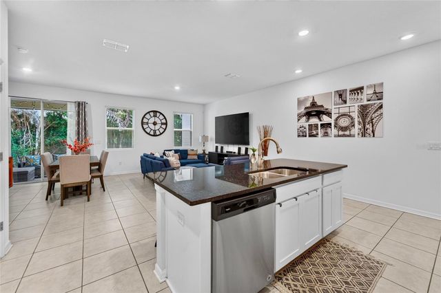 15037 ABBY BIRCH PLACE, Tampa, FL 33613