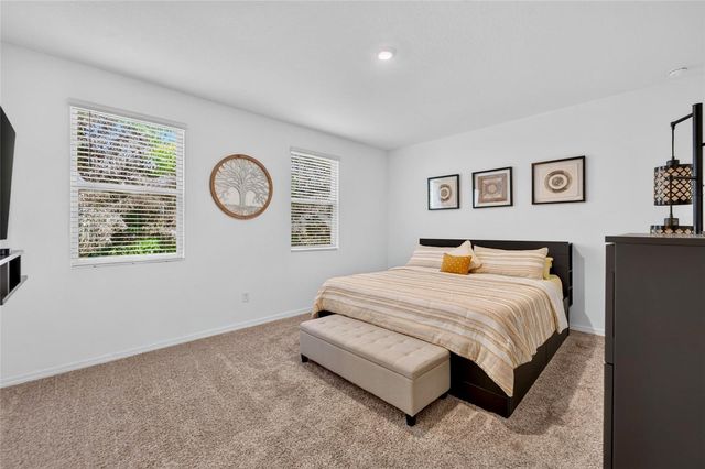 15037 ABBY BIRCH PLACE, Tampa, FL 33613