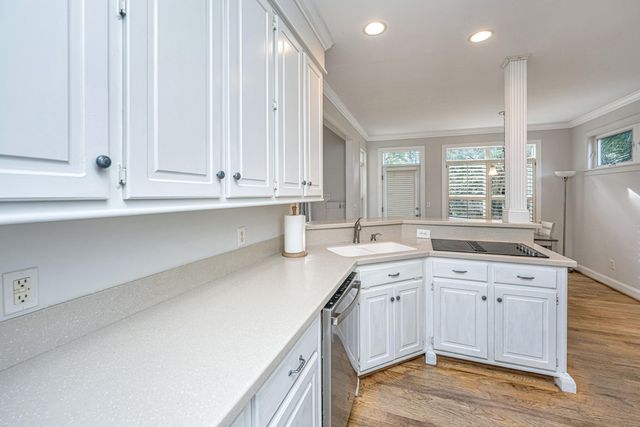 509 Chimney Bluff Drive, Mount Pleasant, SC 29464