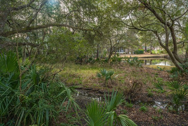 509 Chimney Bluff Drive, Mount Pleasant, SC 29464