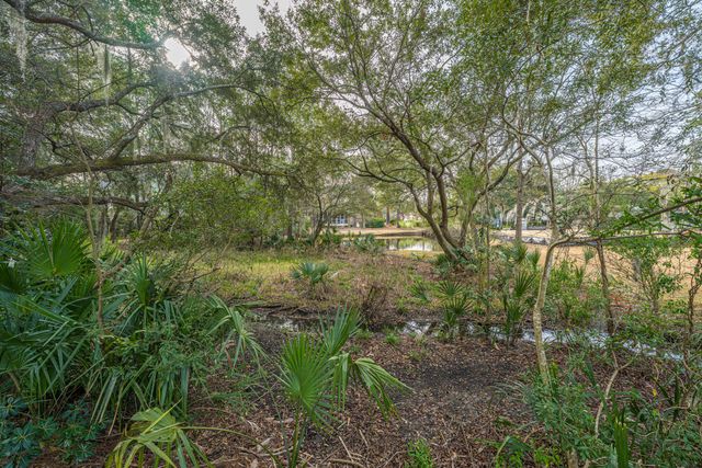 509 Chimney Bluff Drive, Mount Pleasant, SC 29464