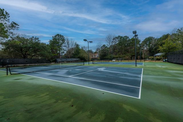 509 Chimney Bluff Drive, Mount Pleasant, SC 29464