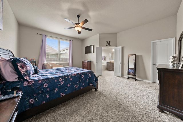 11217 Pallasite Court, Waco, TX 76655