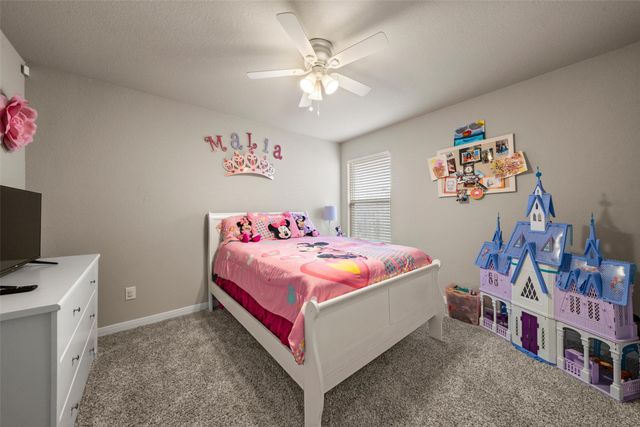 11217 Pallasite Court, Waco, TX 76655