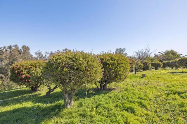 1550 Frontera Way 117, Millbrae, CA 94030