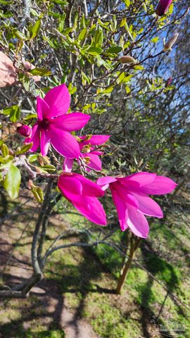 540 N 68th St, Pensacola, FL 32506