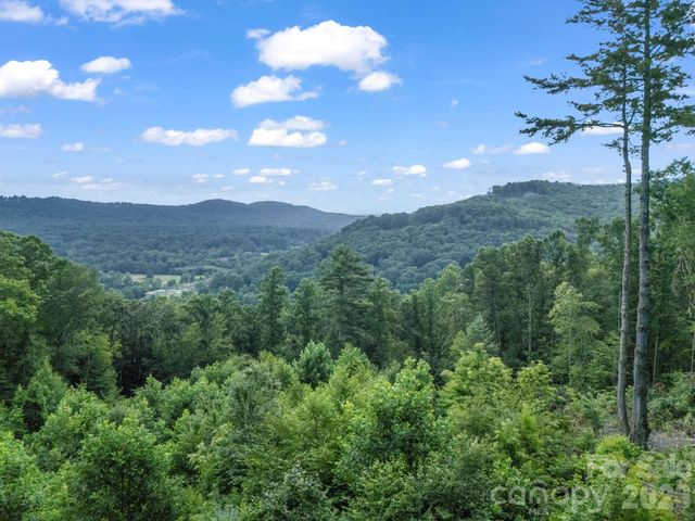 TBD Davenport Hills Road, Hendersonville, NC 28739