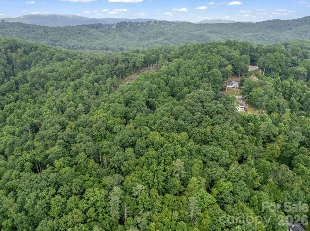 TBD Davenport Hills Road, Hendersonville, NC 28739