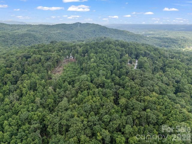 TBD Davenport Hills Road, Hendersonville, NC 28739