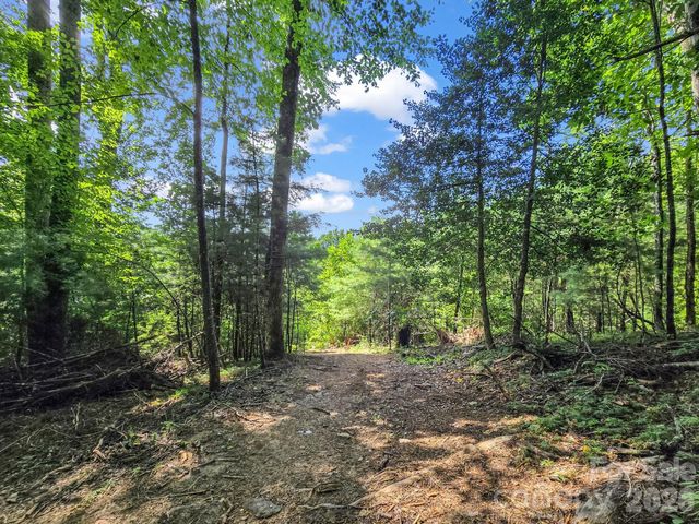 TBD Davenport Hills Road, Hendersonville, NC 28739