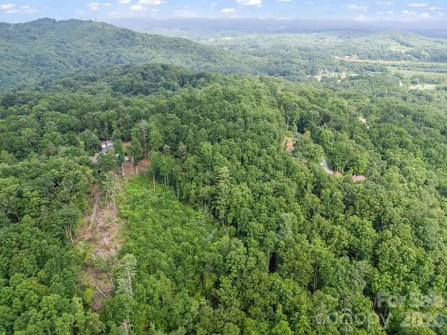 TBD Davenport Hills Road, Hendersonville, NC 28739