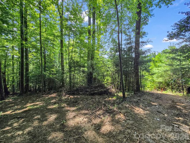 TBD Davenport Hills Road, Hendersonville, NC 28739