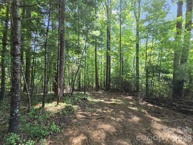 TBD Davenport Hills Road, Hendersonville, NC 28739