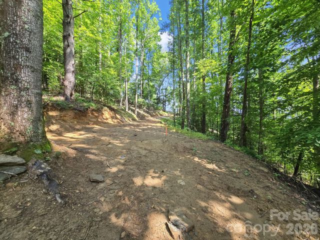 TBD Davenport Hills Road, Hendersonville, NC 28739