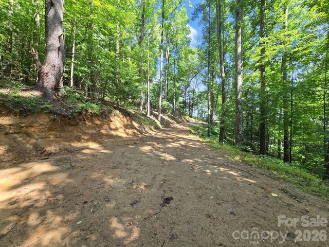 TBD Davenport Hills Road, Hendersonville, NC 28739