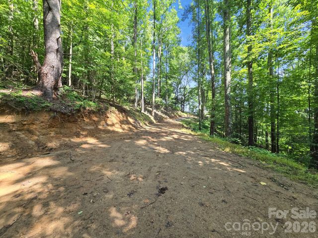 TBD Davenport Hills Road, Hendersonville, NC 28739