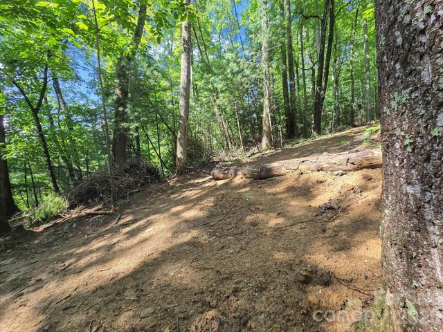 TBD Davenport Hills Road, Hendersonville, NC 28739