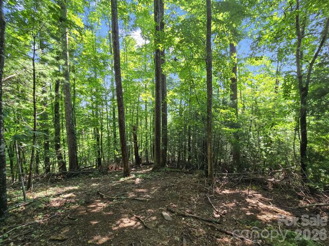 TBD Davenport Hills Road, Hendersonville, NC 28739