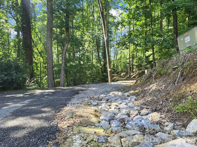 TBD Davenport Hills Road, Hendersonville, NC 28739