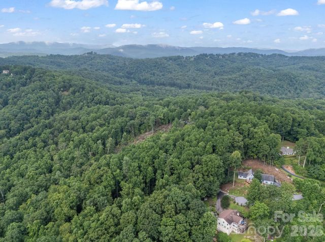TBD Davenport Hills Road, Hendersonville, NC 28739