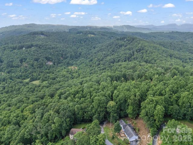 TBD Davenport Hills Road, Hendersonville, NC 28739