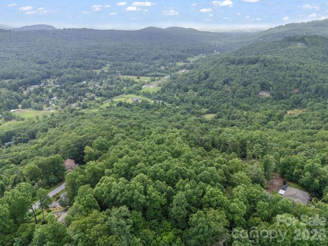 TBD Davenport Hills Road, Hendersonville, NC 28739