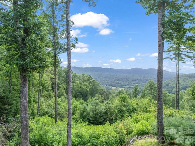 TBD Davenport Hills Road, Hendersonville, NC 28739