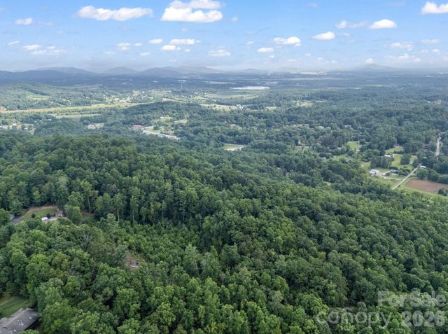 TBD Davenport Hills Road, Hendersonville, NC 28739