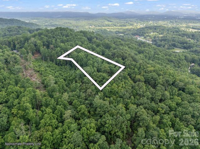 TBD Davenport Hills Road, Hendersonville, NC 28739