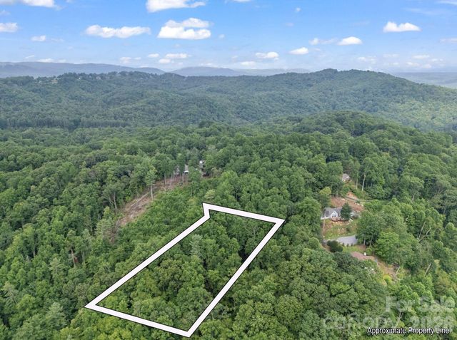 TBD Davenport Hills Road, Hendersonville, NC 28739