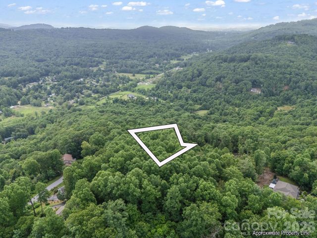 TBD Davenport Hills Road, Hendersonville, NC 28739