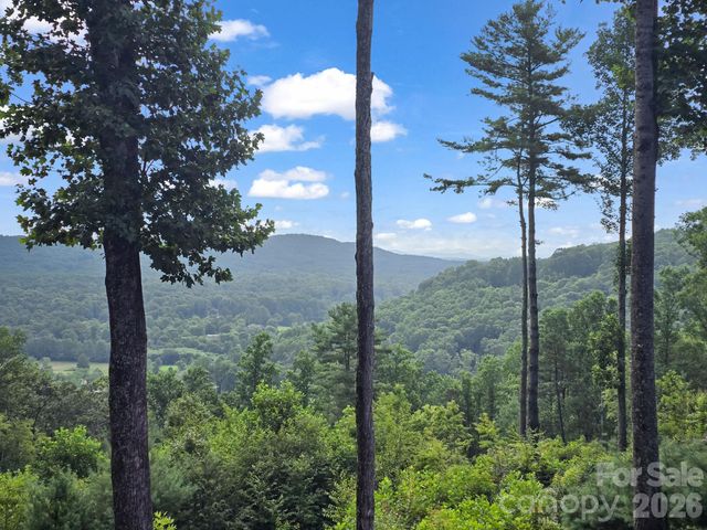 TBD Davenport Hills Road, Hendersonville, NC 28739