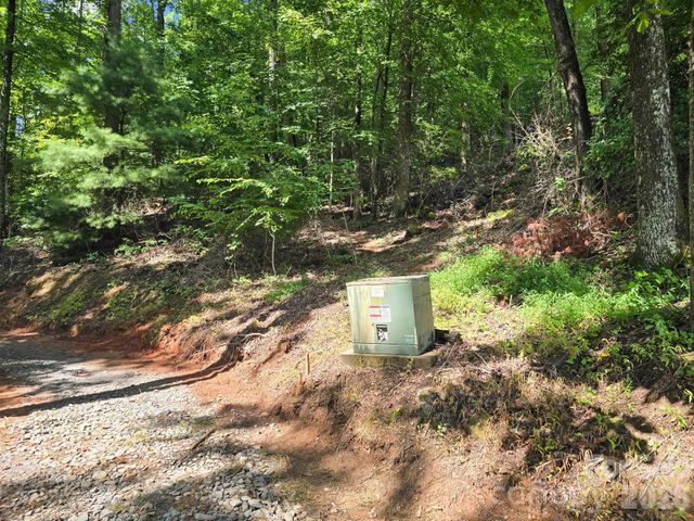 TBD Davenport Hills Road, Hendersonville, NC 28739