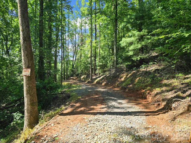 TBD Davenport Hills Road, Hendersonville, NC 28739