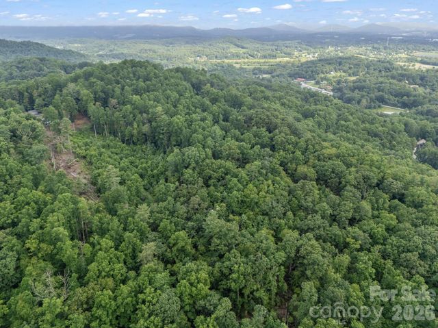 TBD Davenport Hills Road, Hendersonville, NC 28739