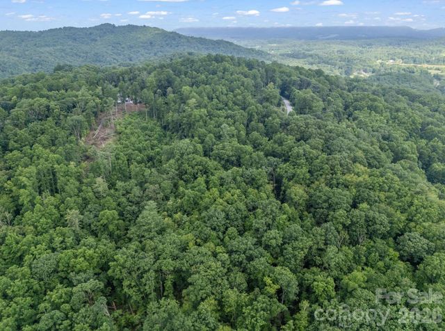 TBD Davenport Hills Road, Hendersonville, NC 28739