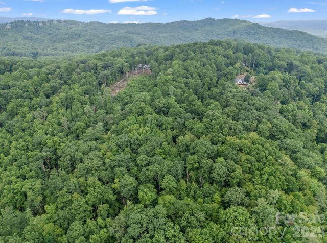 TBD Davenport Hills Road, Hendersonville, NC 28739