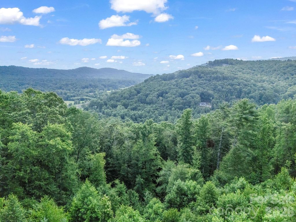 TBD Davenport Hills Road, Hendersonville, NC 28739