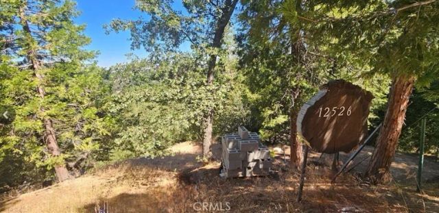 25126 Jewel, Crestline, CA 92325