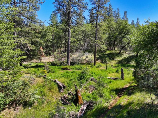 1159 Borrego Dr, Mokelumne Hill, CA 95245
