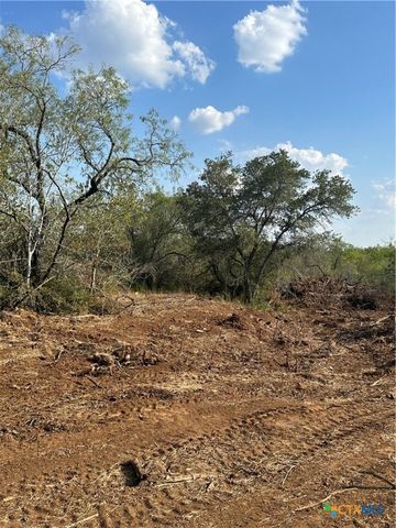 5894 FM 1107, Unit A-Tract 2 A-2, Stockdale, TX 78160