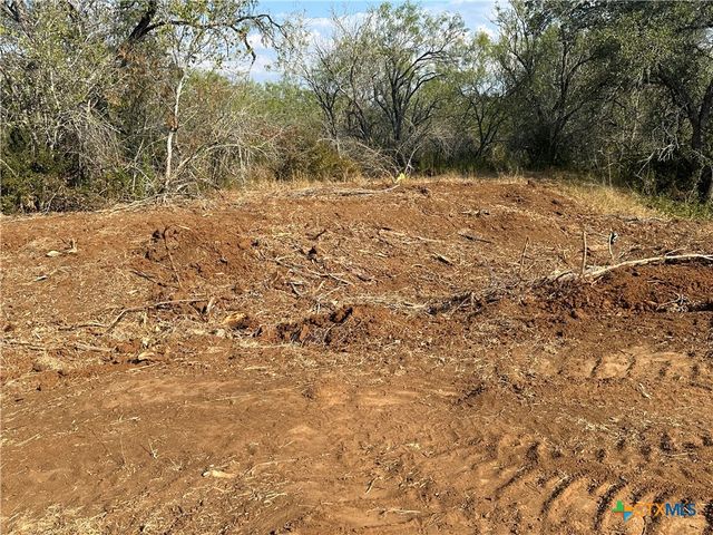 5894 FM 1107, Unit A-Tract 2 A-2, Stockdale, TX 78160