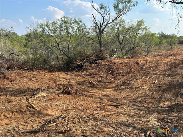 5894 FM 1107, Unit A-Tract 2 A-2, Stockdale, TX 78160