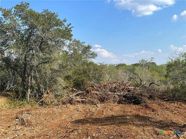 5894 FM 1107, Unit A-Tract 2 A-2, Stockdale, TX 78160