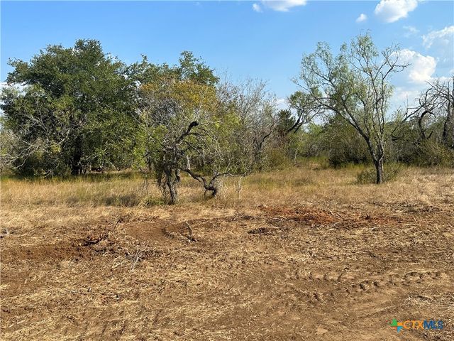 5894 FM 1107, Unit A-Tract 2 A-2, Stockdale, TX 78160
