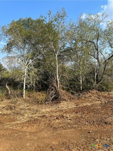 5894 FM 1107, Unit A-Tract 2 A-2, Stockdale, TX 78160